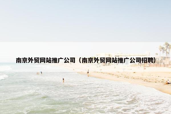 南京外贸网站推广公司（南京外贸网站推广公司招聘）