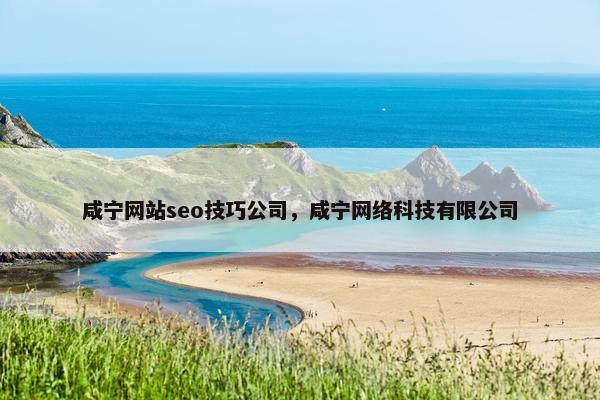 咸宁网站seo技巧公司，咸宁网络科技有限公司