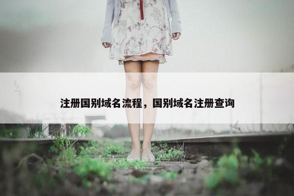 注册国别域名流程，国别域名注册查询