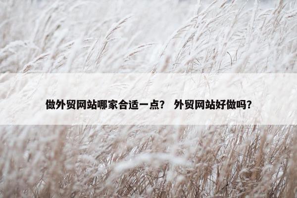 做外贸网站哪家合适一点？ 外贸网站好做吗？
