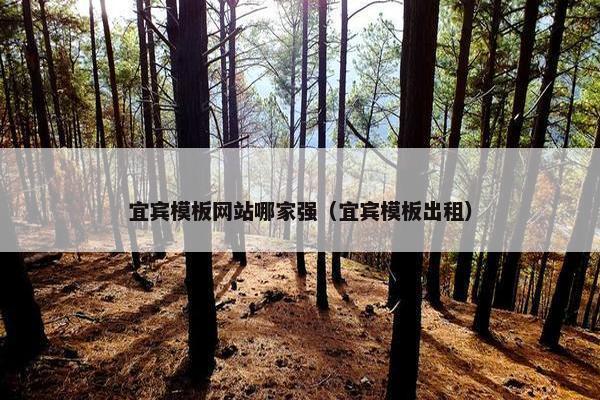 宜宾模板网站哪家强（宜宾模板出租）