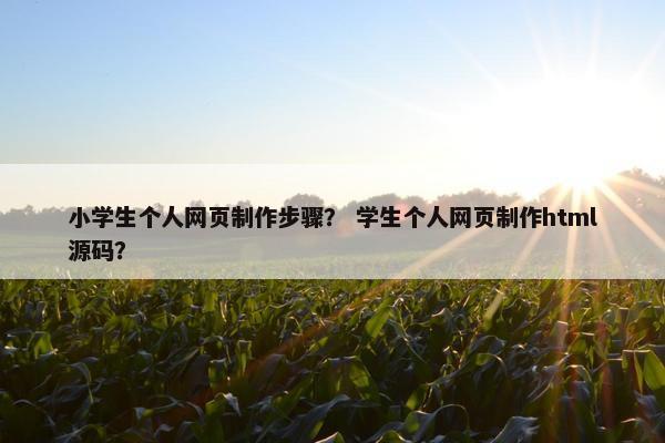 小学生个人网页制作步骤？ 学生个人网页制作html源码？