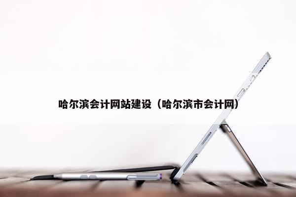 哈尔滨会计网站建设（哈尔滨市会计网）