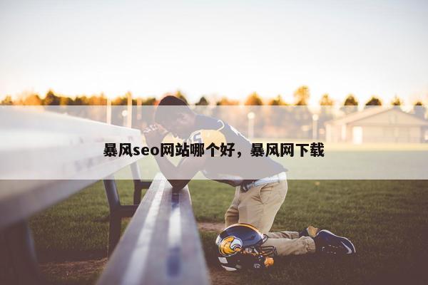 暴风seo网站哪个好，暴风网下载