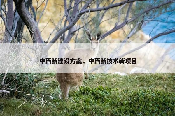 中药新建设方案，中药新技术新项目