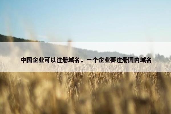 中国企业可以注册域名，一个企业要注册国内域名