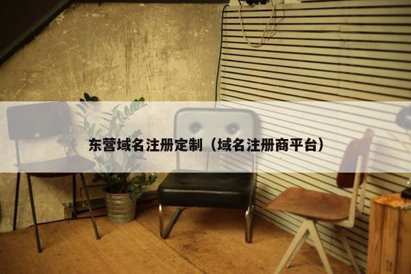 东营域名注册定制（域名注册商平台）