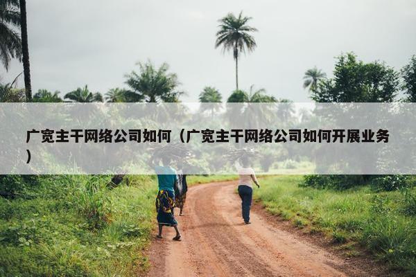广宽主干网络公司如何（广宽主干网络公司如何开展业务）