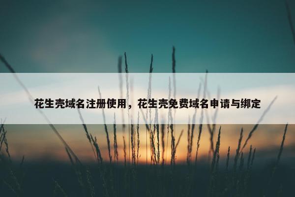 花生壳域名注册使用，花生壳免费域名申请与绑定