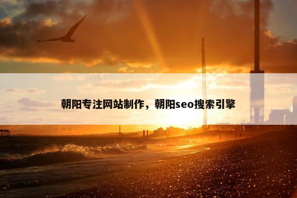 朝阳专注网站制作，朝阳seo搜索引擎