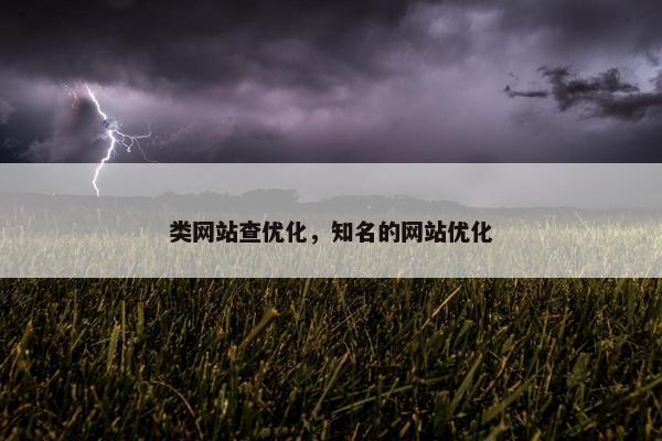 类网站查优化，知名的网站优化