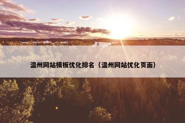 温州网站模板优化排名（温州网站优化页面）