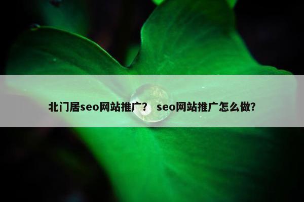 北门居seo网站推广？ seo网站推广怎么做？