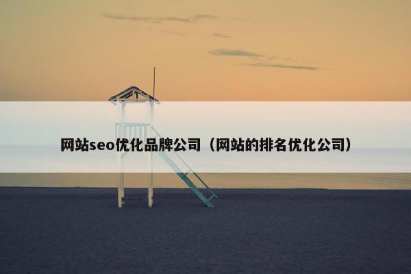 网站seo优化品牌公司（网站的排名优化公司）