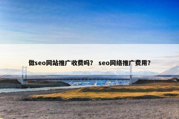 做seo网站推广收费吗？ seo网络推广费用？