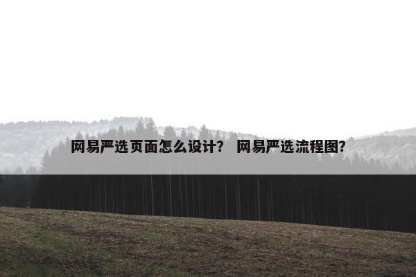 网易严选页面怎么设计？ 网易严选流程图？