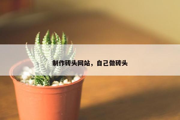 制作砖头网站，自己做砖头