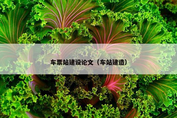 车票站建设论文（车站建造）