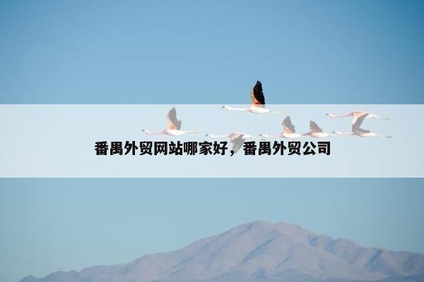 番禺外贸网站哪家好，番禺外贸公司