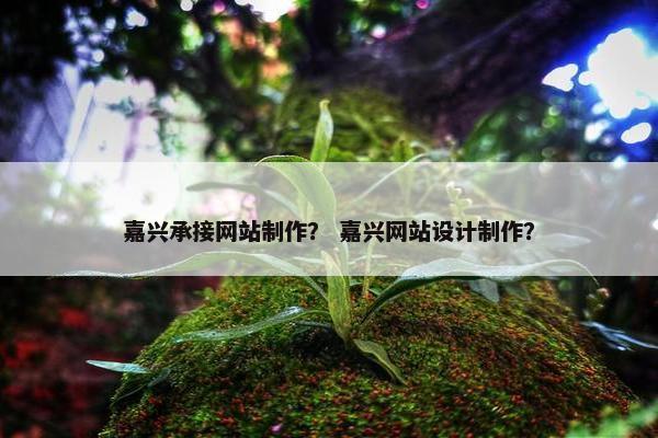 嘉兴承接网站制作？ 嘉兴网站设计制作？