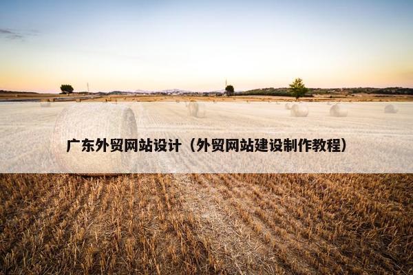 广东外贸网站设计（外贸网站建设制作教程）