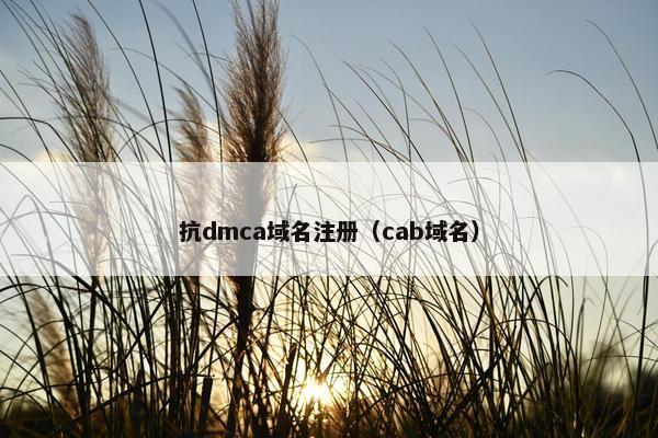 抗dmca域名注册（cab域名）