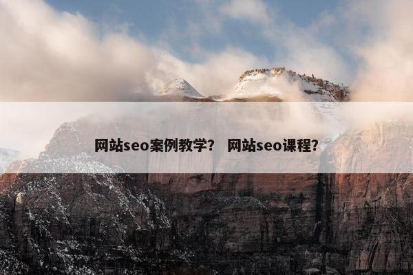 网站seo案例教学？ 网站seo课程？