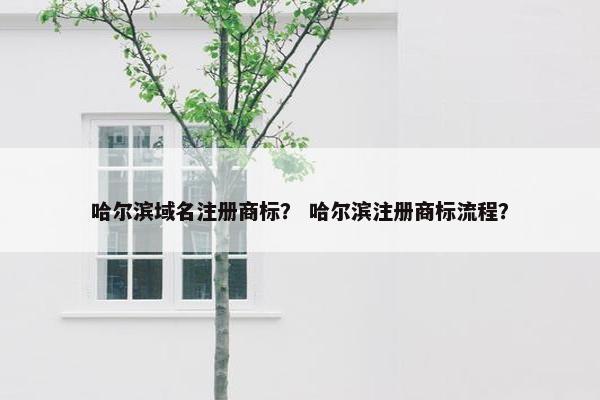 哈尔滨域名注册商标？ 哈尔滨注册商标流程？