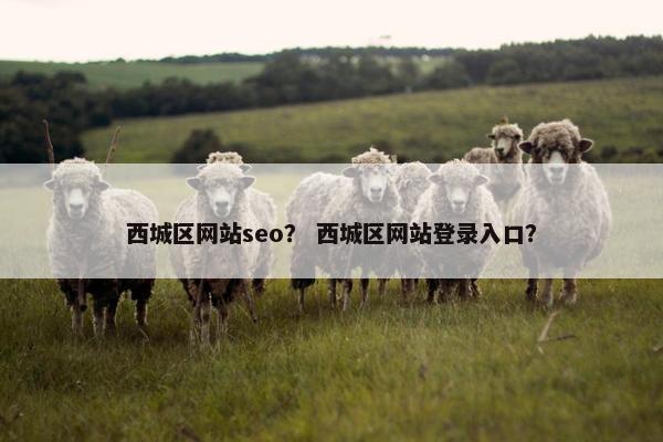西城区网站seo？ 西城区网站登录入口？