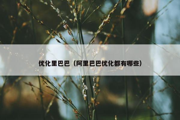 优化里巴巴（阿里巴巴优化都有哪些）
