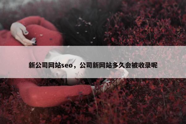 新公司网站seo，公司新网站多久会被收录呢