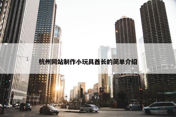 杭州网站制作小玩具酋长的简单介绍