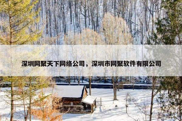 深圳网聚天下网络公司，深圳市网聚软件有限公司