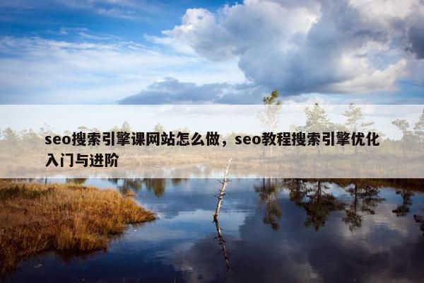 seo搜索引擎课网站怎么做，seo教程搜索引擎优化入门与进阶