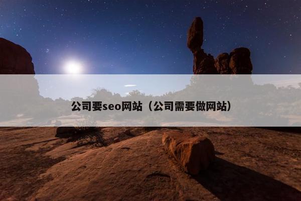 公司要seo网站（公司需要做网站）