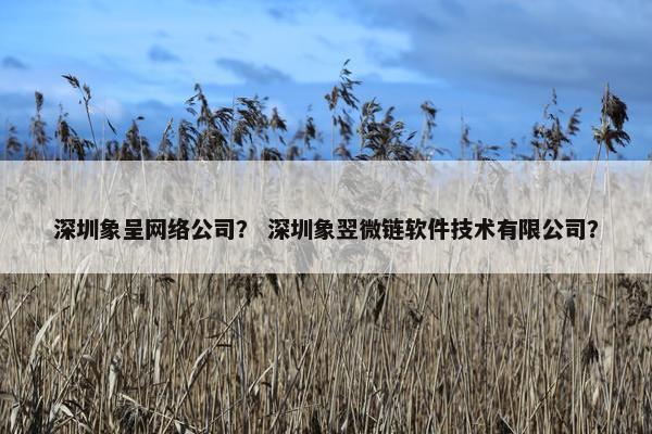 深圳象呈网络公司？ 深圳象翌微链软件技术有限公司？
