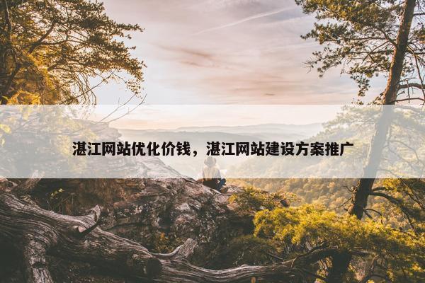 湛江网站优化价钱，湛江网站建设方案推广