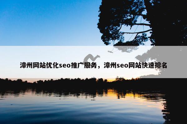 漳州网站优化seo推广服务，漳州seo网站快速排名