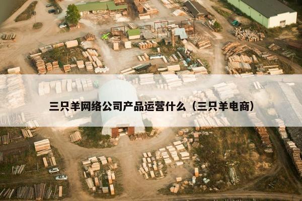 三只羊网络公司产品运营什么（三只羊电商）