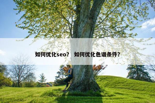 如何优化seo？ 如何优化色谱条件？