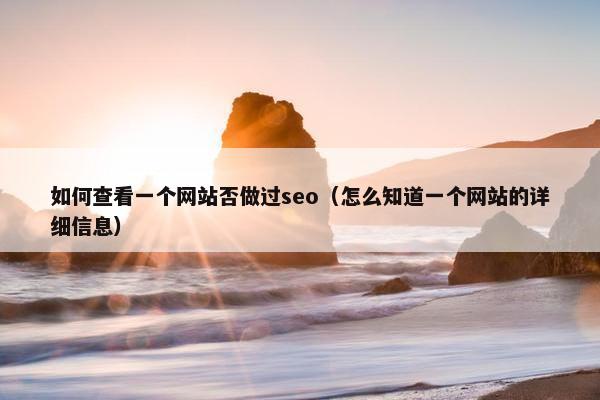 如何查看一个网站否做过seo（怎么知道一个网站的详细信息）