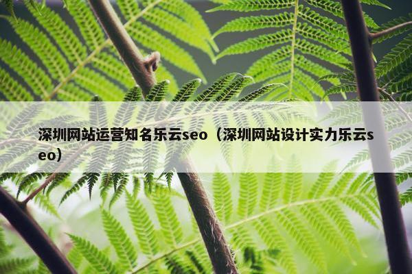 深圳网站运营知名乐云seo（深圳网站设计实力乐云seo）