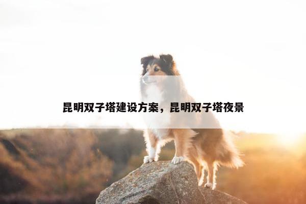 昆明双子塔建设方案，昆明双子塔夜景
