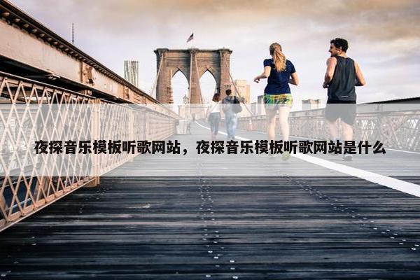 夜探音乐模板听歌网站，夜探音乐模板听歌网站是什么