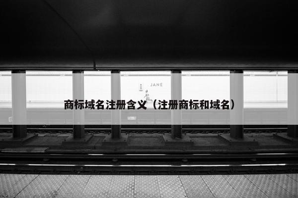 商标域名注册含义（注册商标和域名）