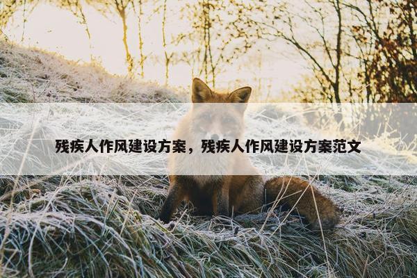 残疾人作风建设方案，残疾人作风建设方案范文
