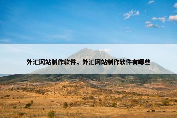 外汇网站制作软件，外汇网站制作软件有哪些