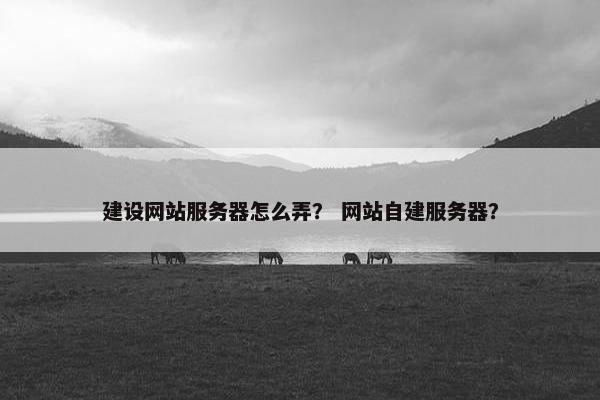 建设网站服务器怎么弄？ 网站自建服务器？