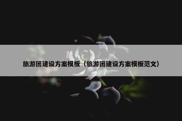 旅游团建设方案模板（旅游团建设方案模板范文）