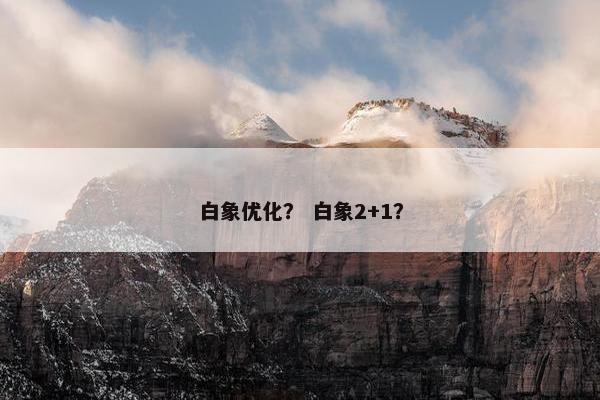 白象优化？ 白象2+1？